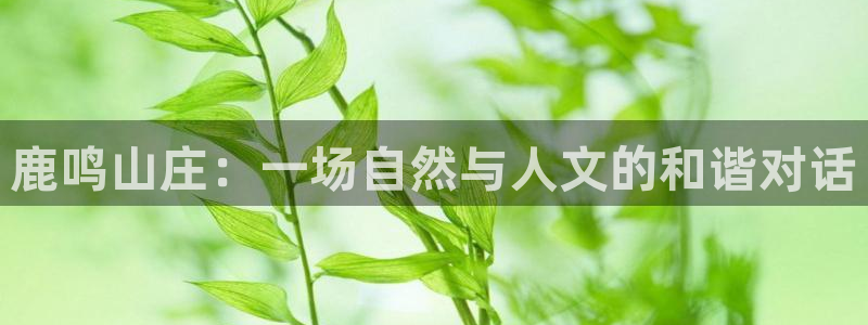 天顺娱乐怀33300j