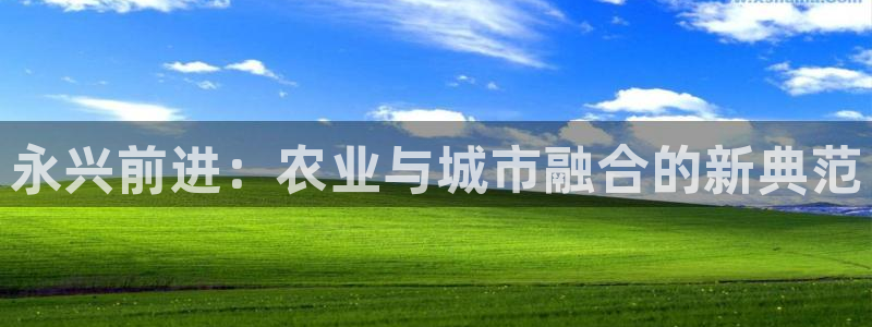 天顺娱乐地址查询