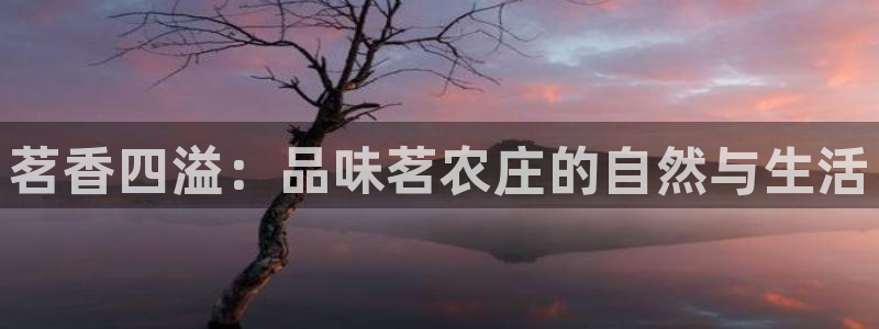 天顺娱乐铰78778卧