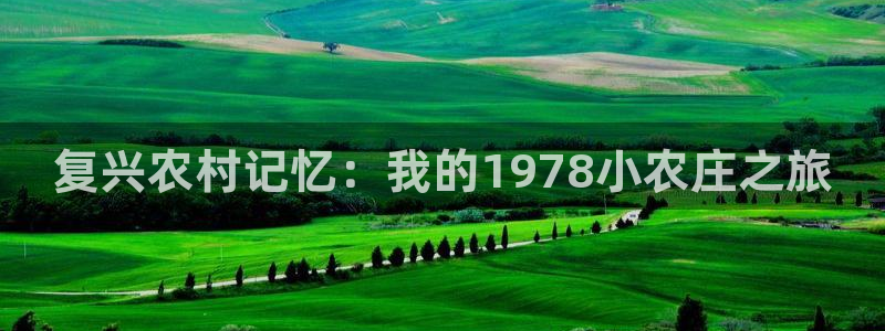 天顺娱乐官方下载地址