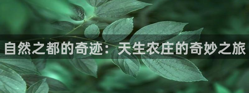 天顺娱乐腾讯分分彩